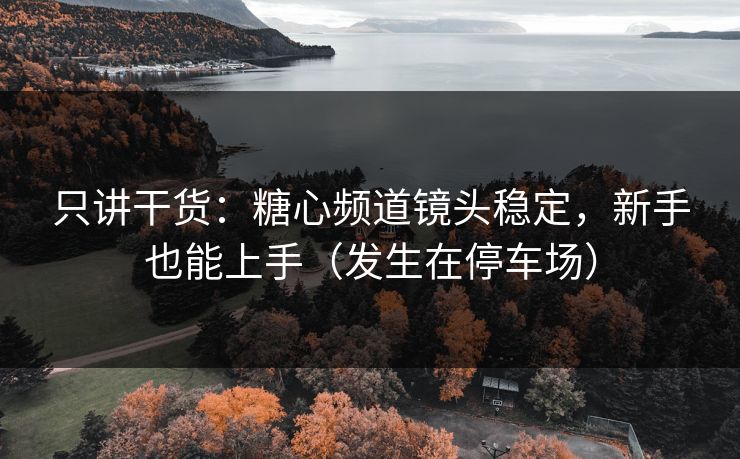 只讲干货：糖心频道镜头稳定，新手也能上手（发生在停车场）